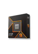 AMD Ryzen 9 9900X