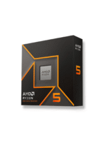 AMD Ryzen 5 9600X
